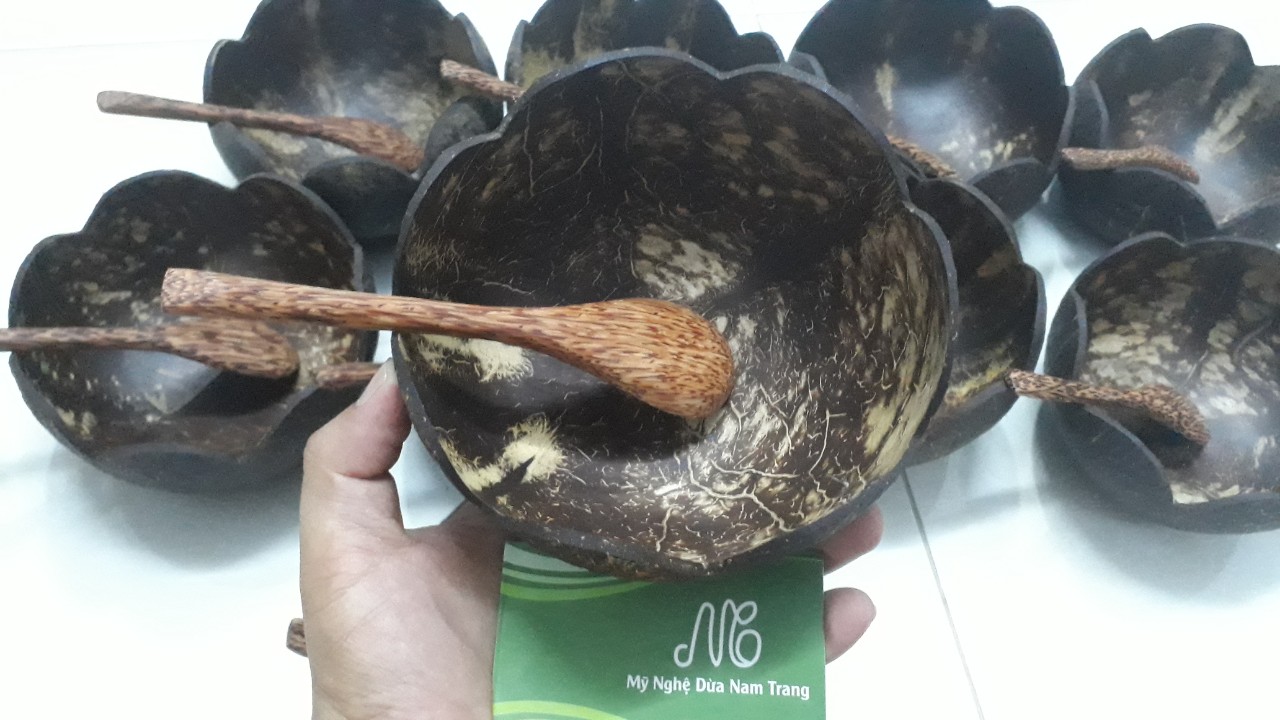 Tô hoa gáo dừa mỹ nghệ