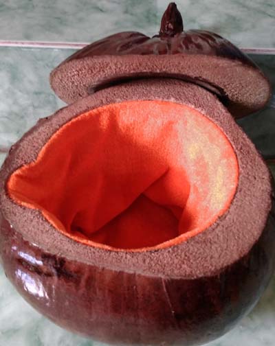 Võ bình giữ ấm trà trái dừa 